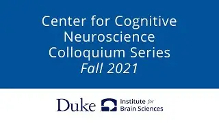 Structure-Function Relationships in Brain Networks (Dr. Bratislav Misic, McGill Univ.)