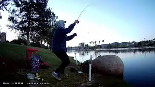 Catching a Rainbow Trout at Santee Lakes on a Automatic Hook Setter with a Mice Tail Jan. 2026