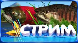 РР4 СТРИМ &bull; МАРАФОН ФАРМА СЕРЕБРА и ОХОТА за ТРОФЕЯМИ на РАЗНЫХ ВОДОЁМАХ!