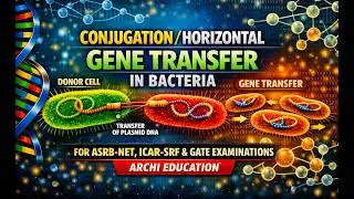Conjugation In Bacteria 🦠 , Horizontal Gene transfer in Bacteria By Dr. Vandna Kushwaha 