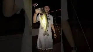 some memorable catches #fishing #fishinglife #catfish #channelcatfish #flatheadcatfish #alligatorgar