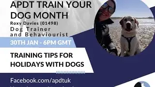 Day 25 Train Your Dog Month - Training tips for holidays with dogs with Roxy Davies
