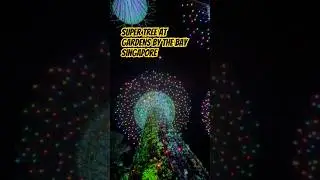 Super tree at Gardens by the Bay Singapore #singaporean #garden #supertree