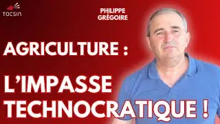 Bercoff sur le Vif 12/01 : Colère des agriculteurs : le souffle est-il retombé ?