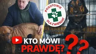 Pogotowie dla zwierząt odpowiada na artykuł WP ⬅️ #info #dog #pogotowiedlazwierzat #sobolew 