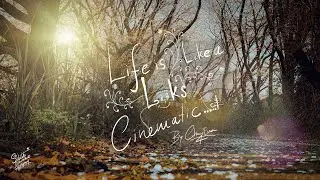 LIFE IS LOOKS LIKE A CINEMATIC - Chiny4Ever
