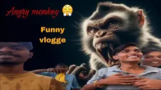 Monkey Fighting 😅￼