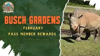 February 2025 Busch Gardens Pass Member Updates