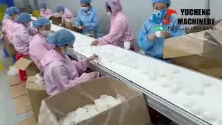 Mochi Ice Cream Production Line with Plastic Tray Feeder