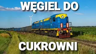 Dwie TEM2 z węglarzem do Cukrowni w Glinojecku