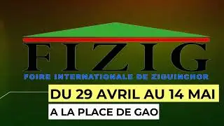 Foire Internationale de Ziguinchor  GALA de lutte FIZIG: Drapeau chambre de commerce de Ziguinchor