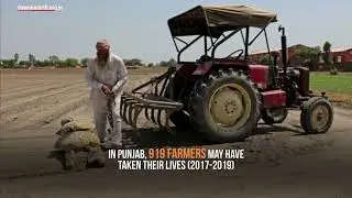 Agriculture: Women groups seek a support package for farmer suicide families from the 2020 budget