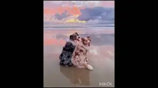 Клип "Верить, надеяться и любить" 💖 🙏 💙