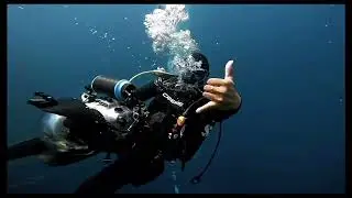 Weefine WFA37 Adjustable Float Arm 🤿📸🎥#weefine   #underwaterphotography  #underwatervideography