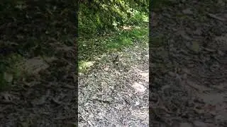 Introduction to Spirit Cave