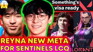 TenZ представляет Sentinels Reyna для LCQ, PRX Something ✅ Новости VCT