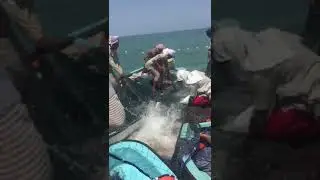 Most Dangerous Fishing at Karwar