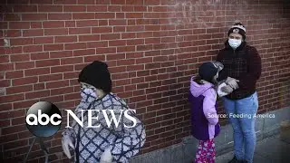 Millions struggling to put food on the table | WNT