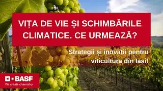 Viticultura la Iași în anul 2024 | Interviu la Stațiunea de Cercetare-Dezvoltare (SCDVV Iași)