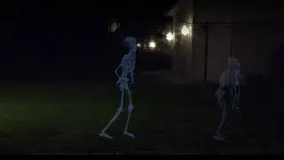 SkeltonScrimdemo