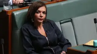 Boosting childcare subsidy &lsquo;the right thing to do&rsquo; for economy: Anne Aly