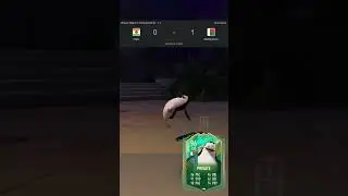 Penguins of Madagascar playing football!! 🔥🇲🇬🐧