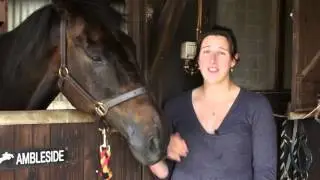 Ex-Racehorse Owner on Preventative Healthcare - Horse Health Week 2015