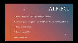 ATP Production in Athletic Preformance