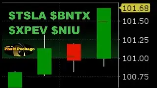 Day trading big range stocks $tsla $bntx $xpev $niu