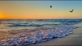 Sleep Beside the Ocean 🌊 7 Hours of Soft Waves & Sea Sounds 4K