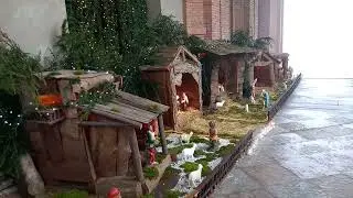 Скобы 