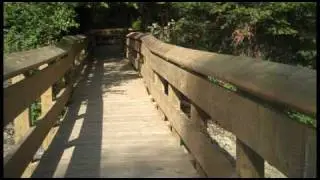 Ed Macgregor Park - Sooke, British Columbia