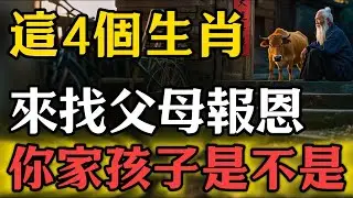 這4個生肖是來找父母報恩的，你家孩子是不是？ #生肖 #命理 #運勢 #屬相 #風水#財運