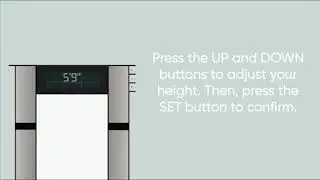 Vitagoods Scale Manual (How to set up and use?)