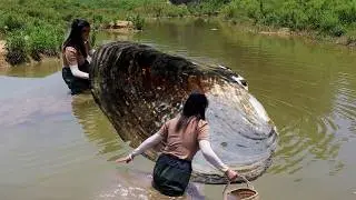 Prying open the freshwater clam and discovering unique and rare pearls, it's truly fascinating