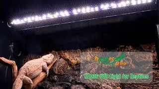 hygger HZ036 UVB Light for Reptiles