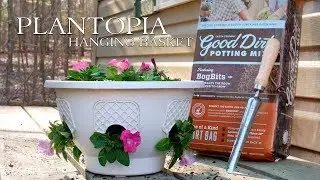 Лучший способ посадки цветов с помощью подвесной корзины Plantopia