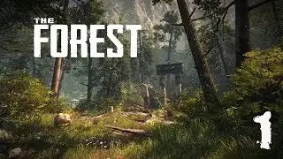 ALL THE ESSENCE OF THE FOREST FOR 3 MINUTES