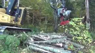 Bucheuse M&eacute;tis 2