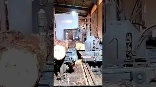 #wood