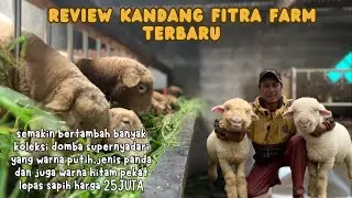FULL REVIEW FITRA FARM BATUR BANJARNEGARA