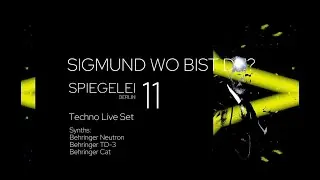 Techno Live Set + Visuals - 11 - Synths (Behringer Neutron, TD-3, Cat)