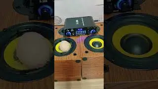 💥SPEAKER VS RAW EGG🔥Extreme Bass Test Subwoofer 2.0🔊#woopker #s288 #audio #bassboosted #hifi #shorts