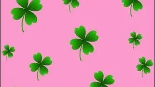 To my dearest Irish friends (ft Ludwig William and Suelly)😘🩷