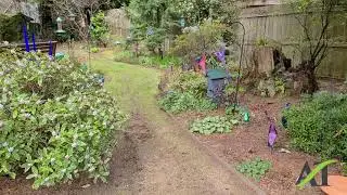 Mill Creek   Organic Lawn Renovation Tune Up   Garden Tour Yard   Spring 2020