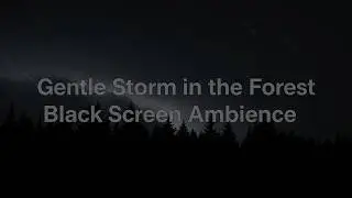 Gentle Storm in the Forest &mdash; Black Screen Ambience