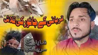 Qurbani Ka Bell 🐂🐂🤷🏻