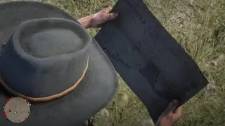 Red Dead Redemption 2 Citadel Rock glitch.