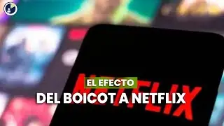 The effect of the Netflix boycott