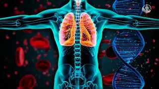 Full Body Aura Cleanse & Cell Regeneration Therapy | 741 hz Removes Toxins and Negativity